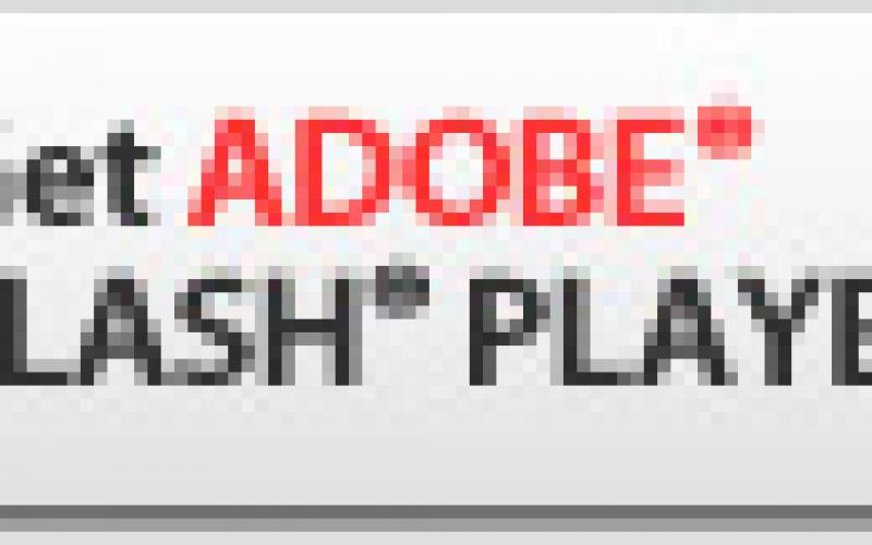 DEscargue el reproductor de flash de aqui